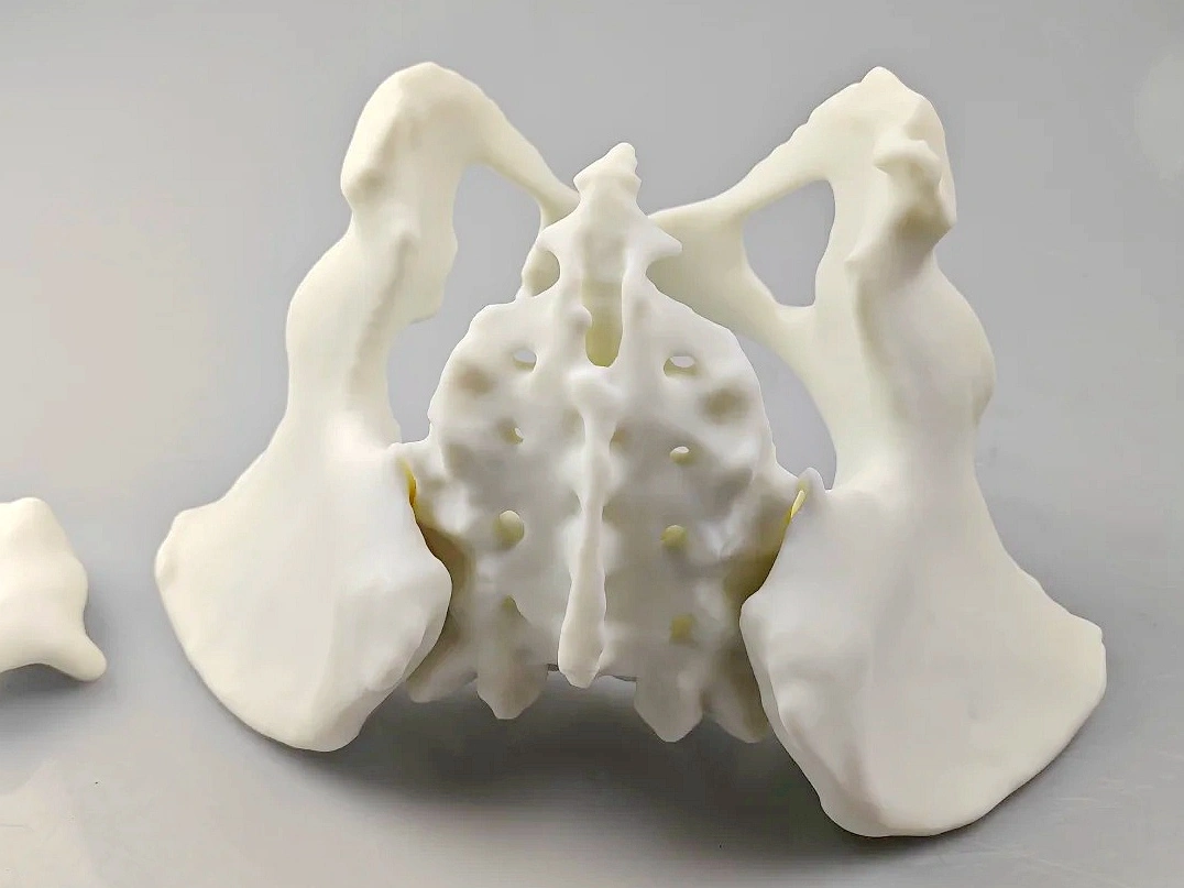 Medical and Healthcare